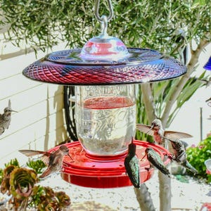 Handmade Hummingbird Feeder: Ruby Red Glass Plate, Bee Proof 32oz Mason Jar