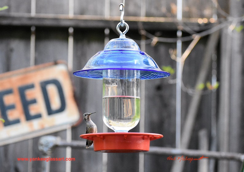 Hummingbird Feeder Bird Feeder No Drip Bee Proof 16 Oz Etsy