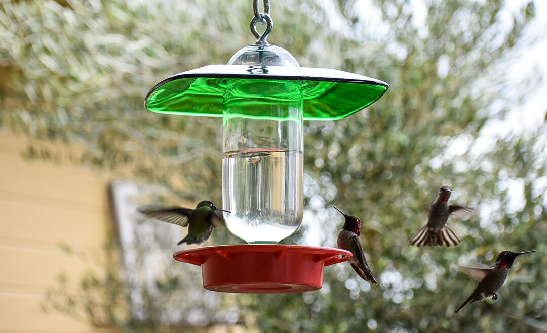 Hummingbird Feeder Bee Proof Drip Free With 16 Oz Clear Etsy