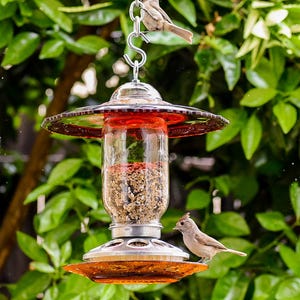 Ruby Red Glass Mason Jar Bird Feeder – Outdoor