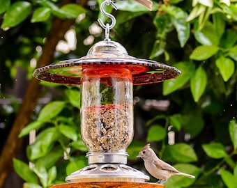 Ruby Red Glass Mason Jar Bird Feeder – Outdoor