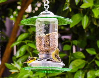Charming Hanging Bird Feeder, Song Birds Seed Feeder, Green Depression Glass