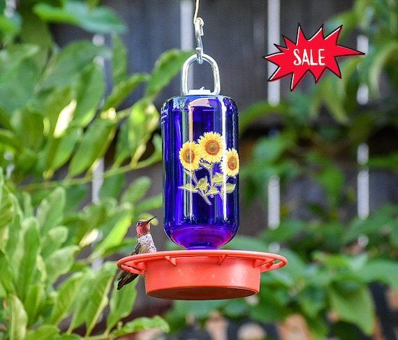 Can You Hang a Hummingbird Feeder near Other Bird Feeders? Tips & Tricks