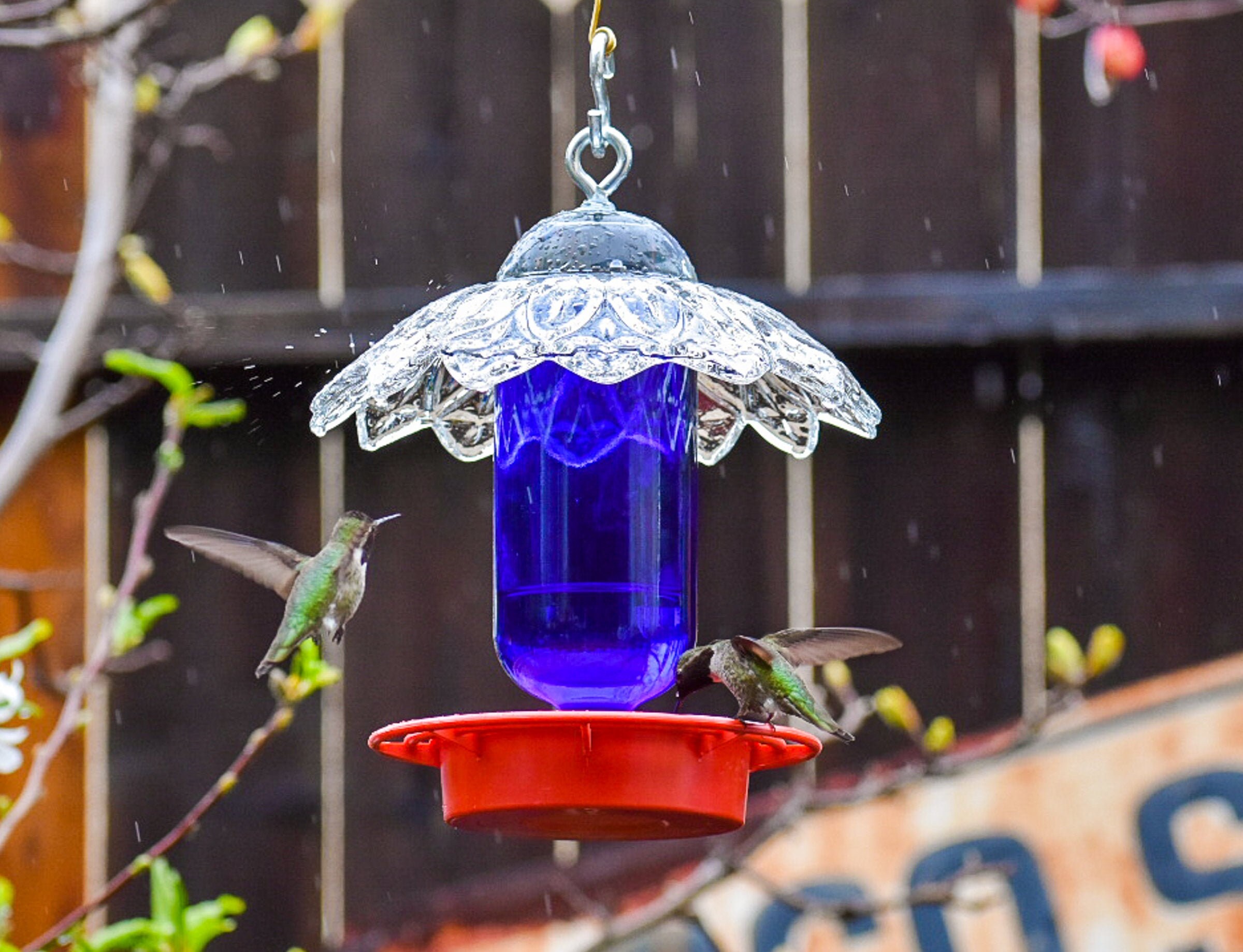 Hummingbird Feeder No DripBee Free Blue 16 oz Bottle Etsy