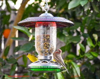 Hanging Bird Feeder, Mason Jar Glass that is Easy to Hang, Red Glass and Green Glass