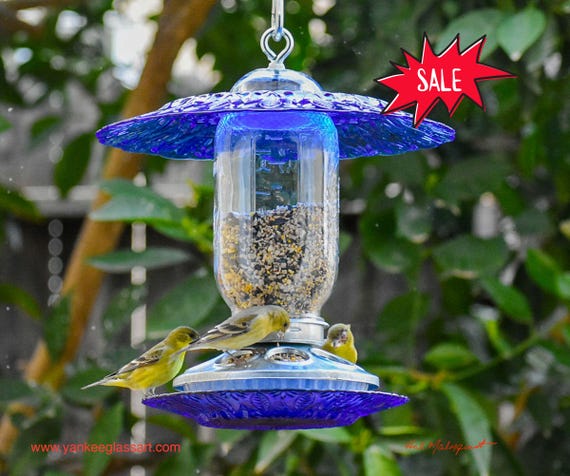 What is a Bird Feeder in French: Discover Its Meaning