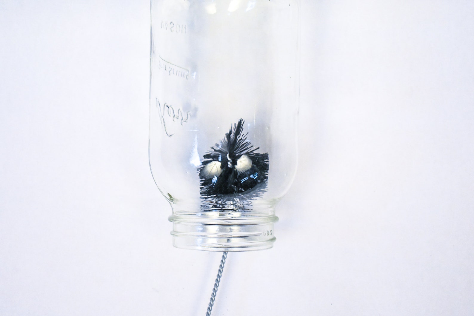 Humming Cleaner Best-1® Hummingbird Cleaning Brush - Etsy
