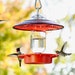 see more listings in the Bird Feeder section