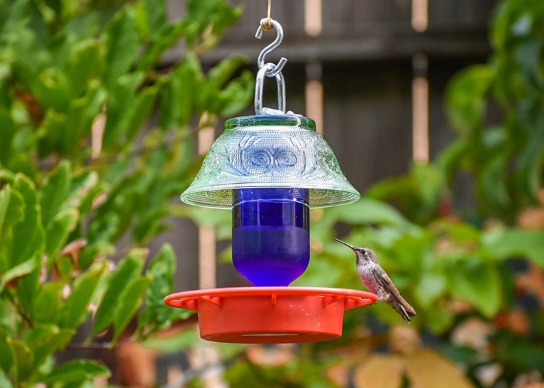 Hummingbird Feeder No Drip Bee Proof 8 oz Bottle Etsy