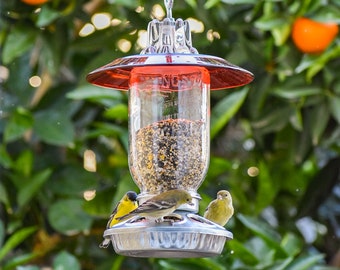 Bird Feeder Handmade, Mason Jar