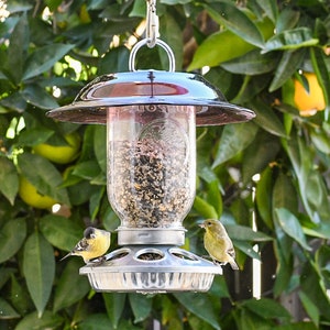 Amethyst Bird Feeder, Hanging Style feeder for attracting more birds