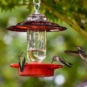 Hummingbird Feeder Bee Proof with choice of 8 oz Clear or Cobalt Bottle with Red Glass Plate image 1