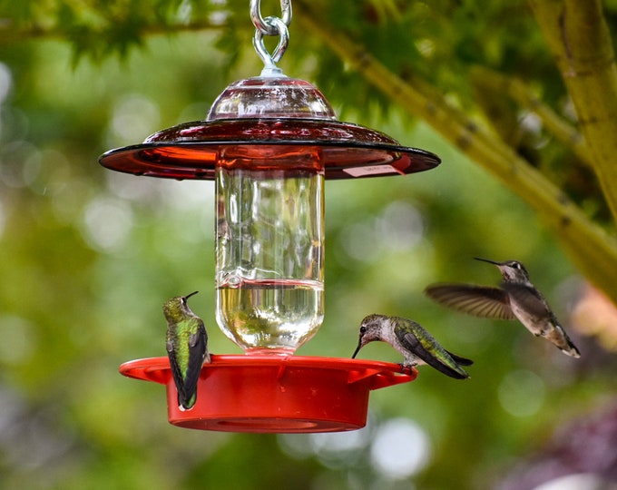 Hummingbird Feeder Bee Proof with choice of 8 oz Clear or Cobalt Bottle with Red Glass Plate