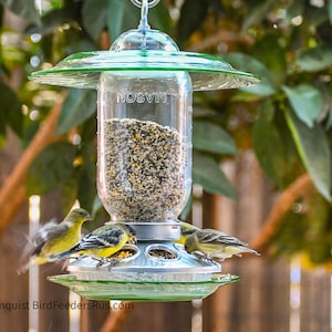 May include: A clear glass bird feeder with a green lid and a metal base. The feeder is filled with birdseed and has four yellow birds perched on the rim. The feeder is hanging from a hook.
