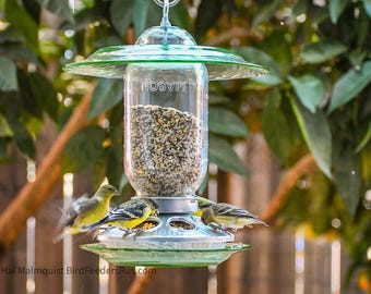 Pyrex Green Mason Jar Bird Feeder: Hanging Songbird Seed Feeder