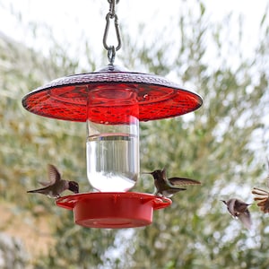 May include: A red hummingbird feeder with four hummingbirds, two drinking nectar and two flying away. The feeder has a clear glass reservoir and a red metal base.