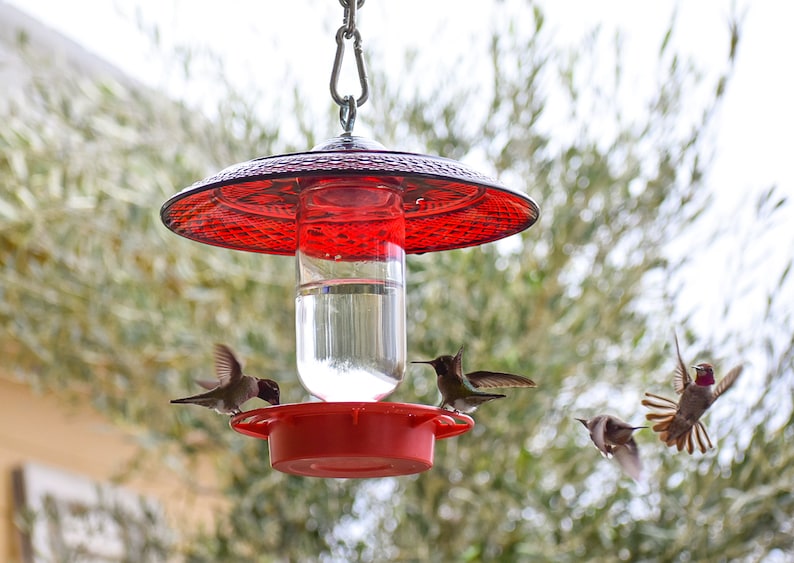 May include: A red hummingbird feeder with four hummingbirds, two drinking nectar and two flying away. The feeder has a clear glass reservoir and a red metal base.