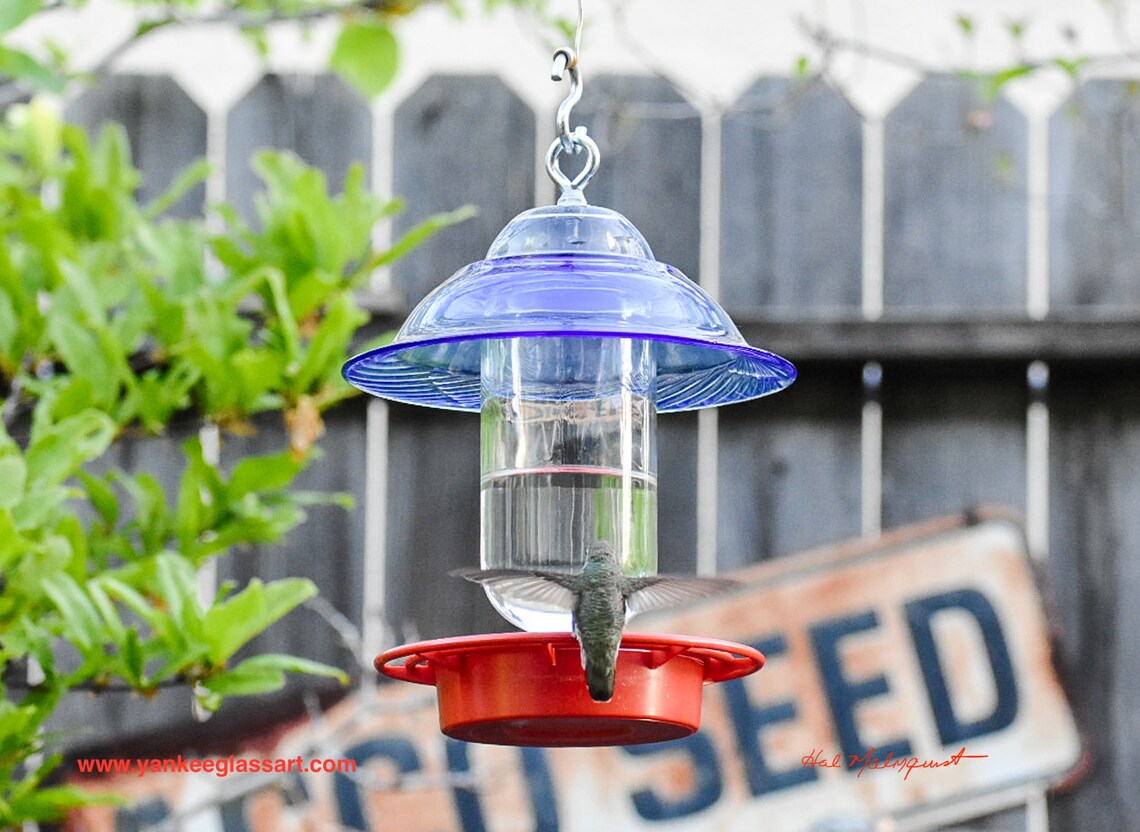 Hummingbird Feeder Bird Feeder No Drip Bee Proof 16 oz Etsy