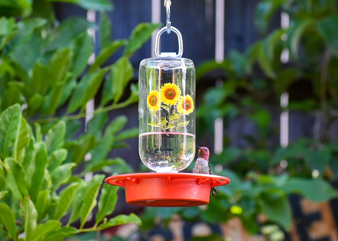 Hummingbird Feeder No Drip Bee Free Clear 16 0z Cobalt Etsy