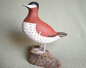 Ruddy Duck, Carved Bird, Wood Carving, Primitive, Folk Art, Painted Duck, wood craft, gift for a birder