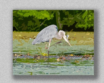Vogel Fotografie, Graureiher Fotografie, Reiher Foto, Wasservogel Druck