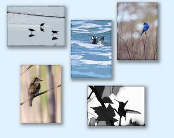 Bird Note Cards, Note Cards, Nature Themed Note Cards, Fine Art Note Cards, Birding, All Occasion Card, Gift for a Birder, Bird Lover Gift