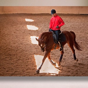 Spanish Photography,  Horse Photograph, Real Maestranza de Caballería, Spanish Riding School, Photo
