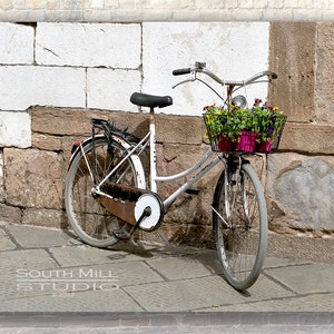 Bicycle, Flowers, Lucca, Italy, Tuscany, Bike, Flower Basket, Street Photography. Travel Photography