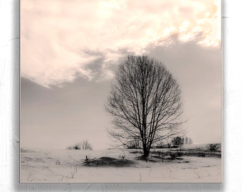 Tree Photography, Winter Scene photograph,  Moody Tree photo,  B&W Print, Sepia, Clouds