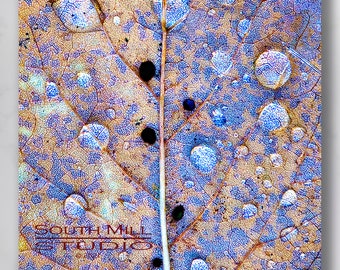 Leaf Macro, Closeup, Leaf, Nature, Mosaic, Structure, Gift for a gardener, Abstract Nature, Natural World
