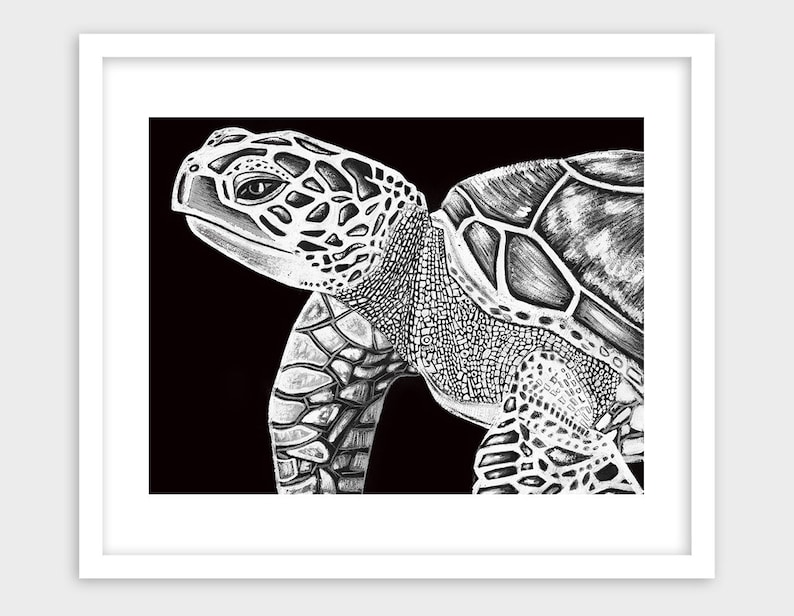 Turtle Printable, Black And White Turtle, Maritime Animal Artwork, Turtle Decor, Sea Daily life Artwork, Sea Turtle Artwork, Maritime Daily life Artwork, Turtle House Decor graphic about Turtle Printable called Turtle Printable, Black And White Turtle, Maritime Animal Artwork, Turtle Decor, Sea Everyday living Artwork, Sea Turtle Artwork, Maritime Lifestyle Artwork, Turtle Dwelling Decor