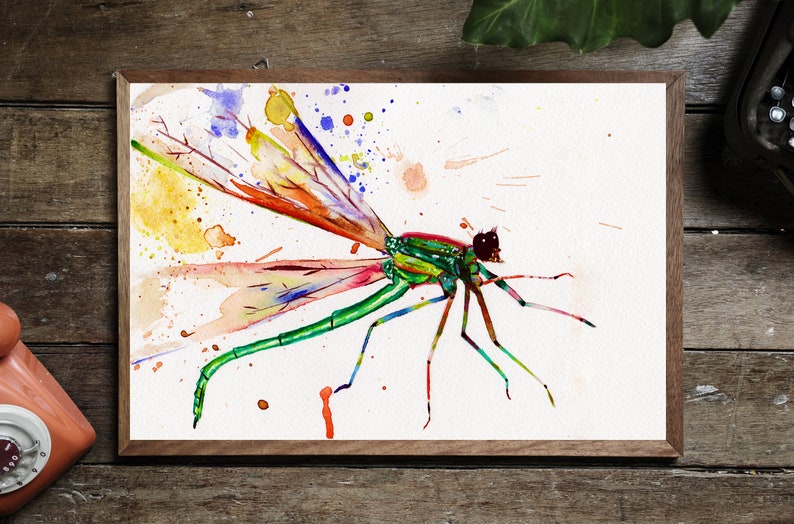 Rainbow dragonfly printable Insect art Whimsical dragonfly | Etsy