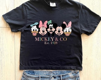 boxy cropped comfort colors mouse friends shirt - mouse and friends - family trip - summer shirts girls best day ever happiest place shirt