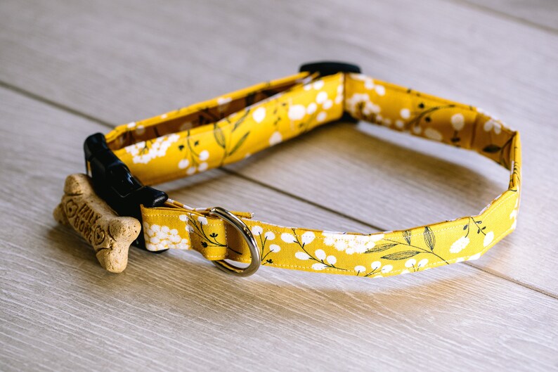 what foods are harmful to dogs