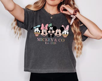 boxy cropped comfort colors mouse friends shirt - mouse and friends - family trip - summer shirts girls best day ever shirt happiest place