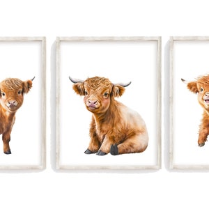 May include: Three framed prints of Highland cattle, each with a different pose. The cattle are brown and white with fluffy fur. The frames are white with a wood grain texture.