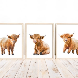 May include: Three framed prints of watercolor paintings of Highland cattle. Each print features a different pose of a brown and white Highland cow with fluffy fur.