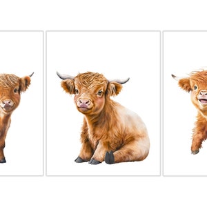 May include: Three illustrations of Highland cattle, each with a different expression. The first is standing, the second is sitting, and the third is running. All three are brown and white with fluffy fur.