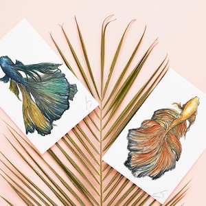 ベタ・スペンドネス、オリジナルイラスト A4 水彩画、A5、A4 または A3 プリント、お好みのプリント、闘魚の壁飾り