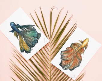 Betta Spendens, ORIGINAL ILLUSTRATION A4 watercolor, sheet A5, A4 or A3, sheet to choose from, fighter fish wall decoration