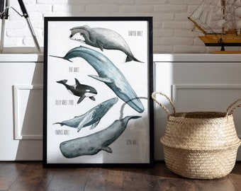 Whales Poster, A4 or A3 Sheet, Watercolor Illustration Poster