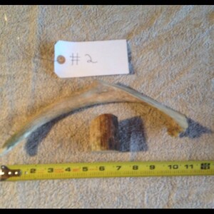 All Natural Moose Antler Doggie Chew Treat