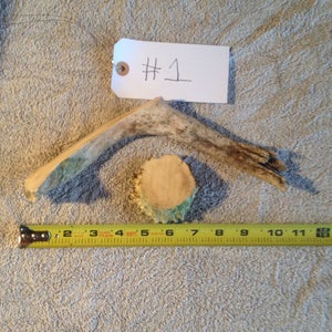All Natural Moose Antler Doggie Chew Treat
