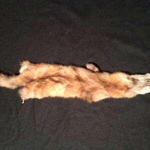 May include: A brown and tan fur pelt of a weasel or mink. The fur is soft and fluffy, and the pelt is laid out flat on a dark surface.