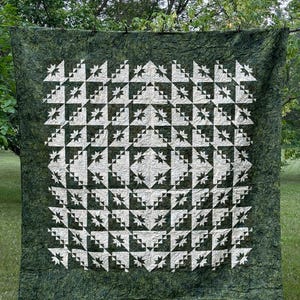May include: A handmade quilt with a geometric pattern of white and dark green triangles and star shapes. The quilt is displayed outdoors, hanging from a tree branch. The overall design is symmetrical, with a central diamond shape.