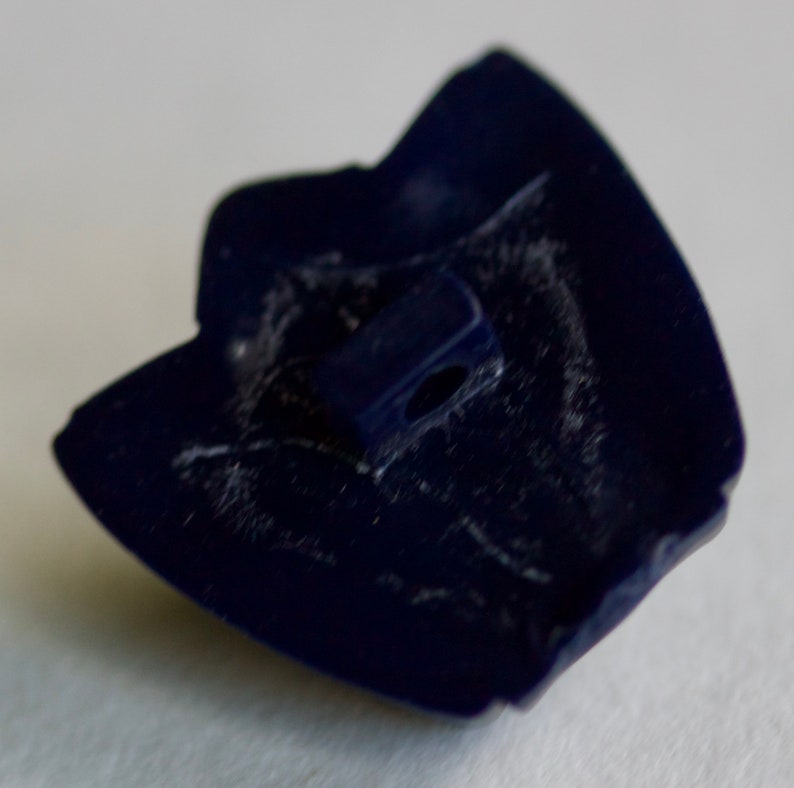 Blue Plastic Belt Button