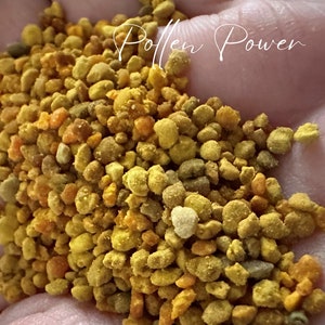 Pollen Power, organic bee pollen, protein for reptiles, superfood, vitamins image 1