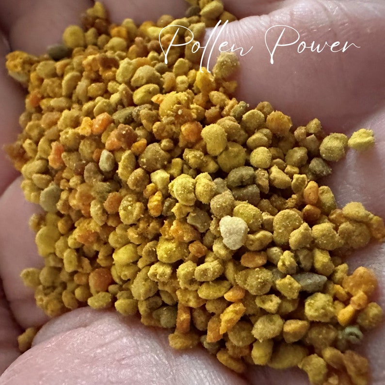 Pollen Power, organic bee pollen, protein for reptiles, superfood, vitamins image 1