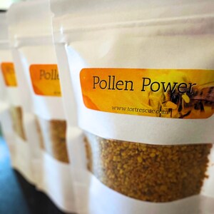 Pollen Power, organic bee pollen, protein for reptiles, superfood, vitamins image 2