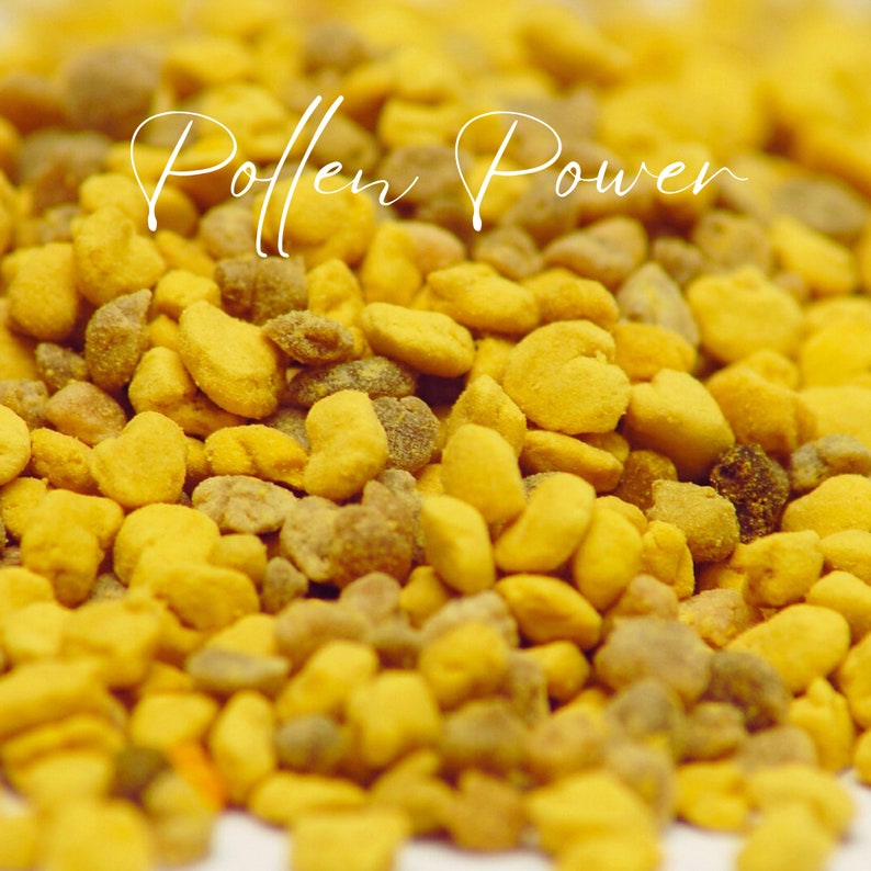 Pollen Power, organic bee pollen, protein for reptiles, superfood, vitamins image 4